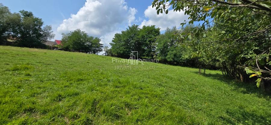 Teren, Albești, str Podului - 6