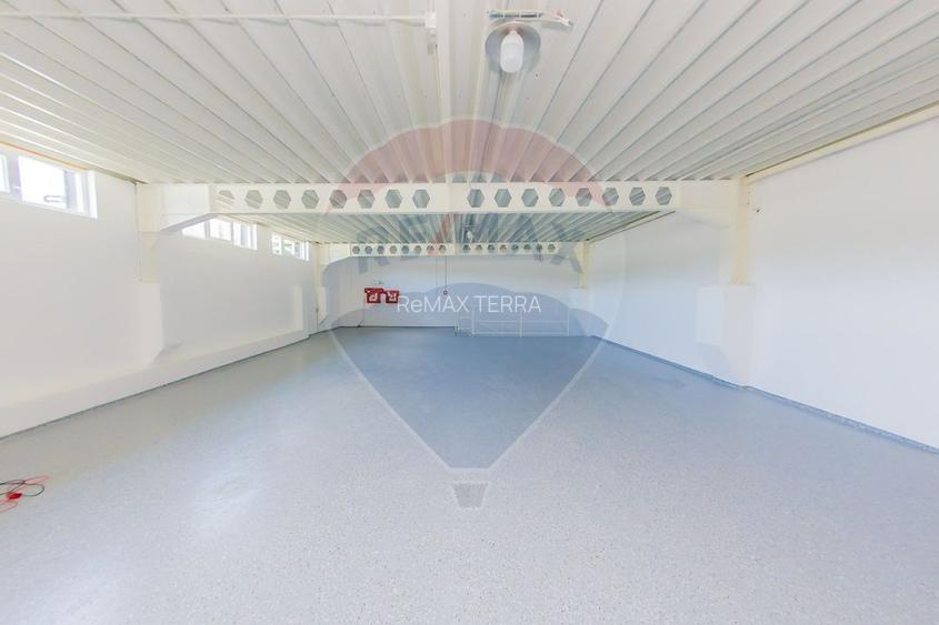 DE INCHIRIAT/VANZARE spatiu comercial cu acces TIR si parcare privata - 14