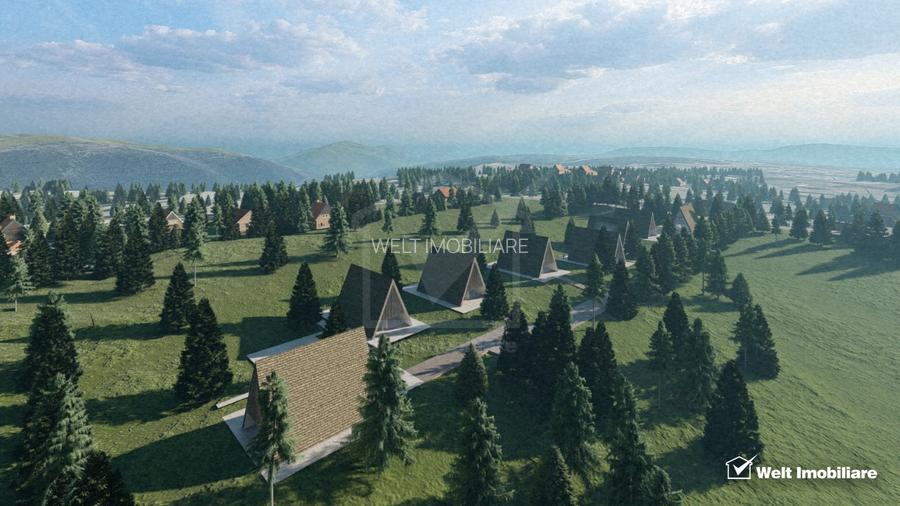 Teren intravilan 10.814 mp cu PUZ aprobat – Belis - 3