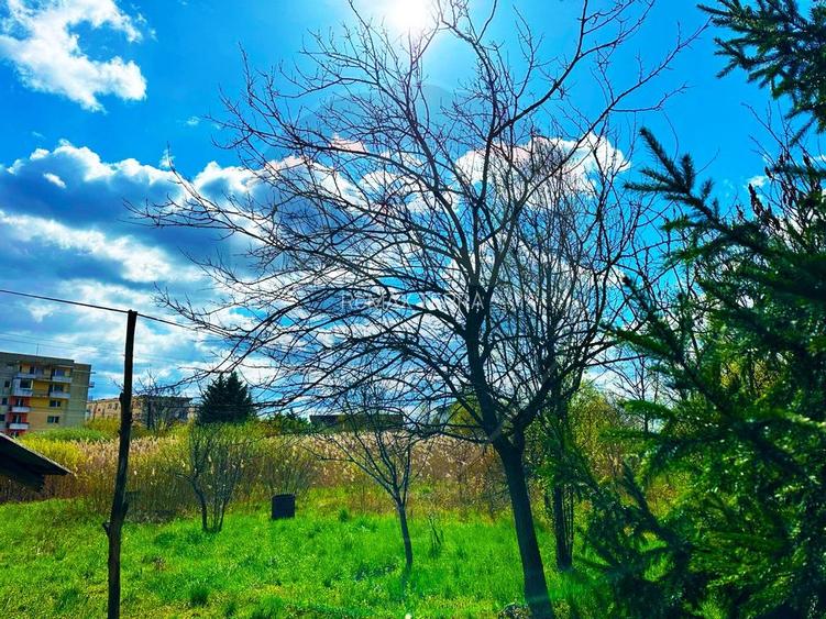 ZONA PREMIUM-TEREN INTRAVILAN - 7