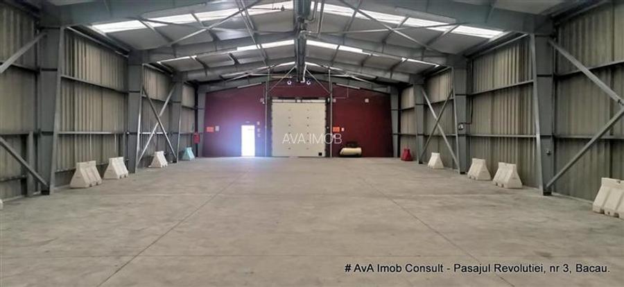 Zona Izvoare, spatii industriale (Hale ) - 3