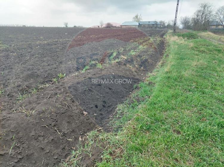 Teren agricol partial intravilan de vanzare in Filipesti jud. Bacau - 5