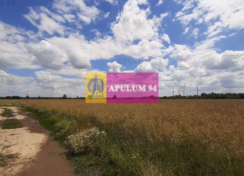 Teren 715mp în Snagov lângă Equestria - 31