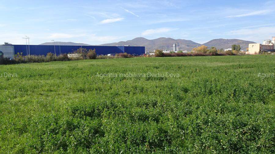 Vand teren intravilan in Deva suprafata totala 43 000 mp, zona Auchan - 4