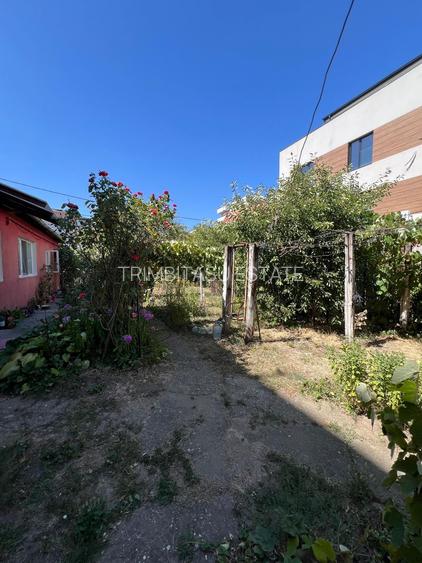 Teren str Renasterii Chitila - 5