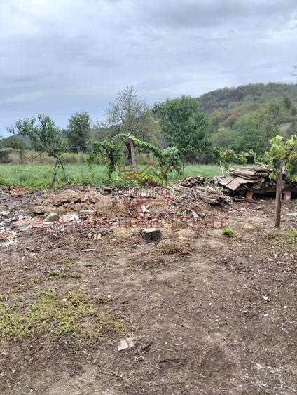 Casa spatioasa | 1500 mp teren - Ticvaniu Mare CS - 11