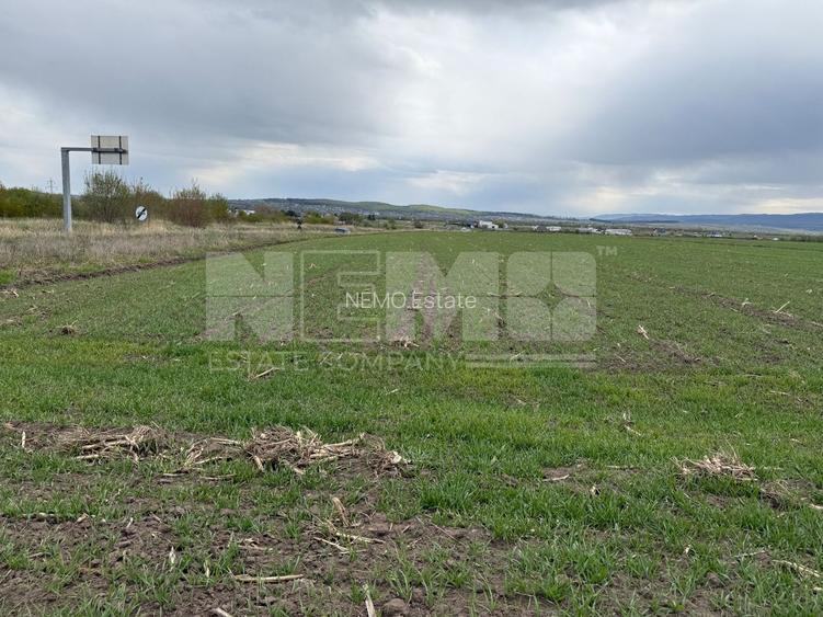 Teren extravilan | Horodnic de Sus – zona Osoi | 50 de Ari - 6
