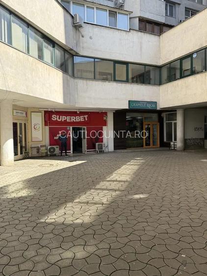 Spatiul comercial/ Ion Mihalache/ Domenii - 2