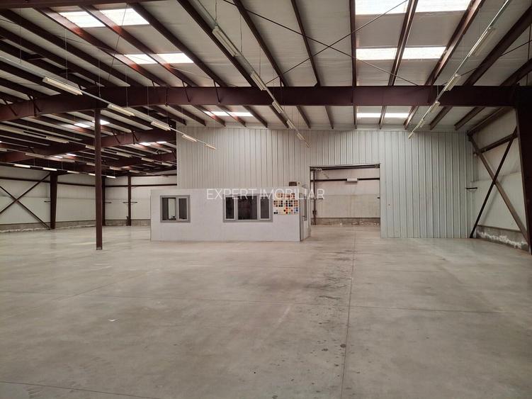 Hala productie /depozitare spatii cazare Branesti/Makita - 11