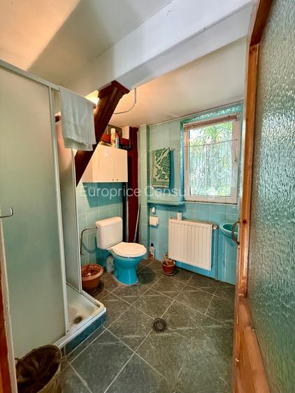 Domenii, str. Caraiman - 28