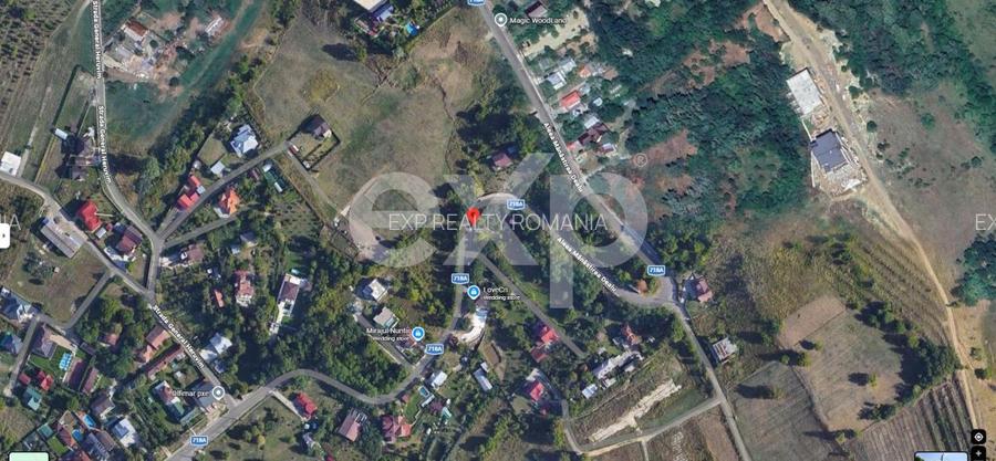 Reședință deosebită 5 Camere | 200 mp Utili | 1.438 mp Teren | Aleea Mănăstirii - 18