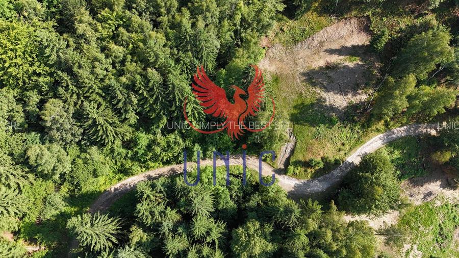 18000 mp de natura pura ,Lupeni, langa Straja - 29