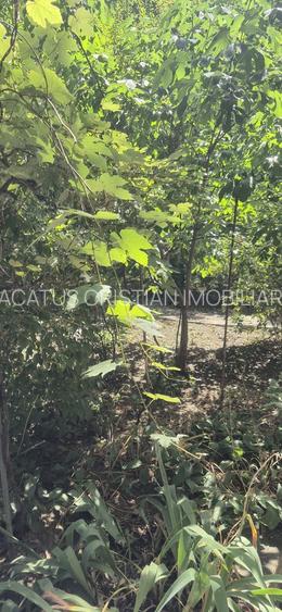 APARTAMENT 4 CAMERE SEMIDECOMANDAT CONFORT 0 ZONA TOMIS NORD CAMBRIDGE - 33