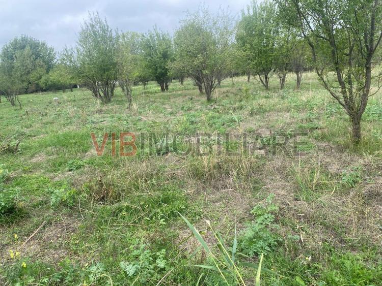 Ferma zootehnica mixta in judetul Vrancea - 2