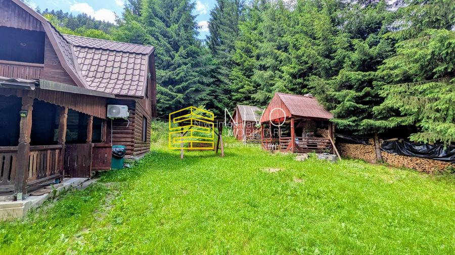 Cabană – Mureș – Sălard – Zona Pensiunea Denisa - 5