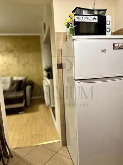 LIPOVEI - APARTAMENT 1 CAMERA - mobilat, utilat, renovat complet