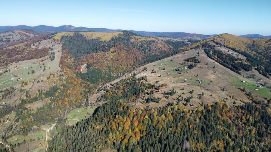 Vindem 53360 mp Bucovina - Vama - 7