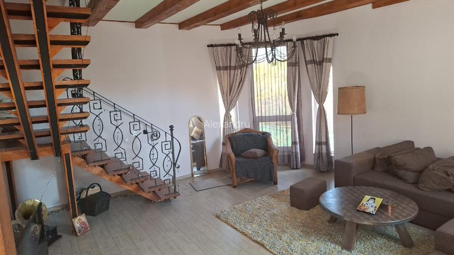 Proprietar vila Câmpulung Muscel str Dracesti 34 colt str Plaiesi - 3