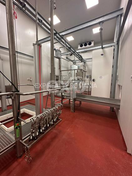 Ferma cu abator autorizat | Singureni Giurgiu - 11