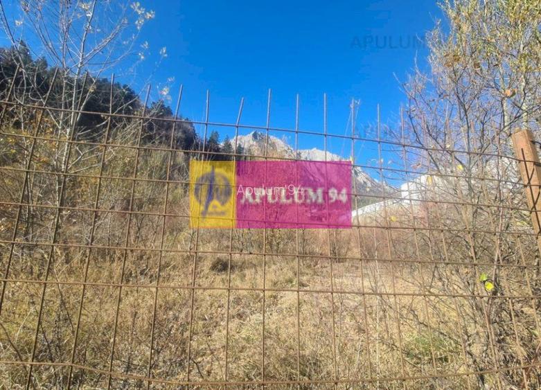 Teren intravilan de vânzare în Bușteni - Zona centrala - 3