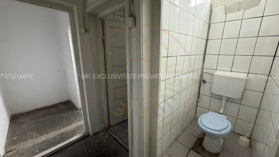 Inchiriere Cladire Productie, Depozitare 278 mp -Teren 1380 mp - Carei  - 8