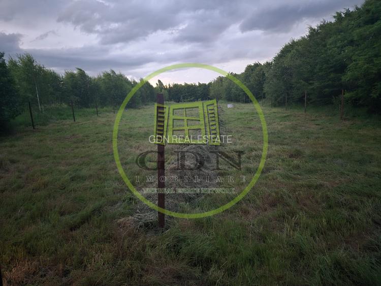 Teren intravilan | 2000 mp | de vânzare- Valea Avrigului - 3