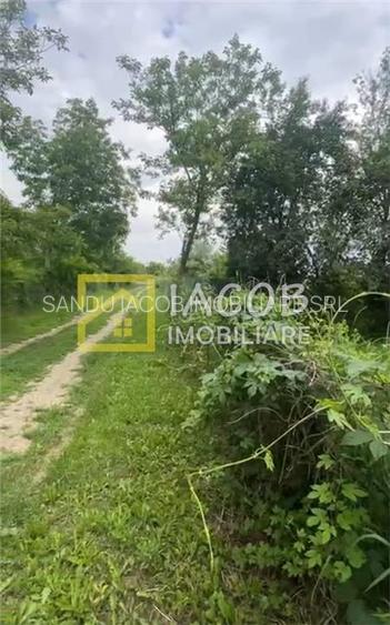 Gheraiesti - Bacau, teren intravilan - 6