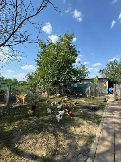 Casă cu 5 camere | Pivniță și Livada | Aproape de București | - 8