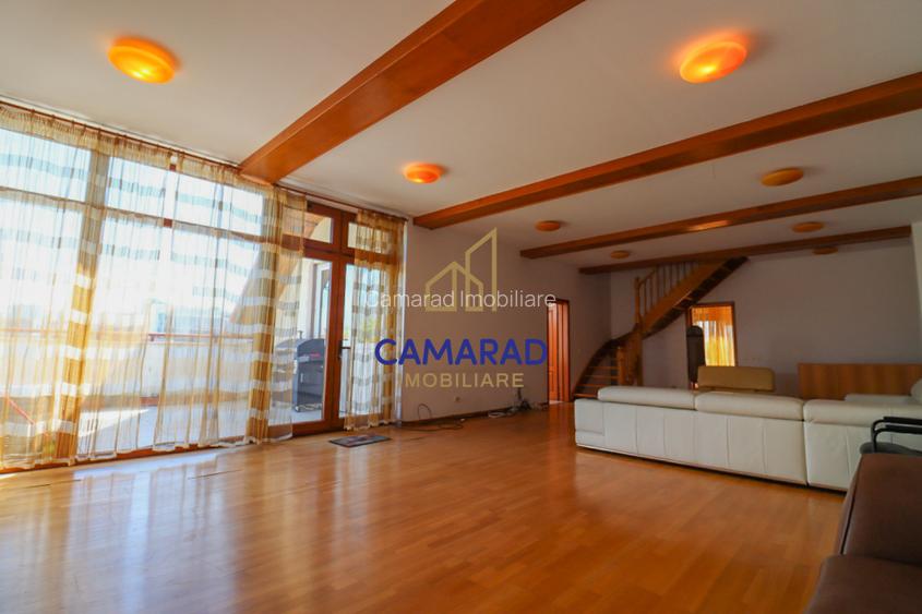 Casă de vânzare cu 12 camere - Piața Iancului/Muncii - 10