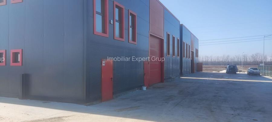 Hale noi PRET BOMBA ( 2 bucati ) 538 mp buc. Frumusani- Autostrada AO - 11