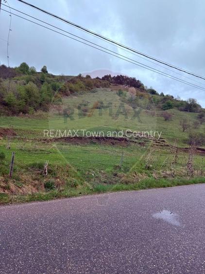 Teren 4,780mp Vadu Izei / Drumul Secatura - 4