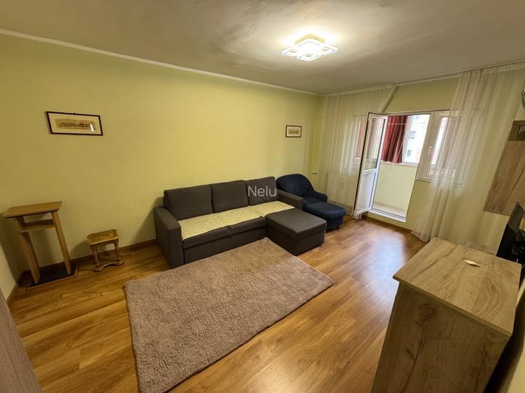 2 camere Teiul Doamnei stradal - 2