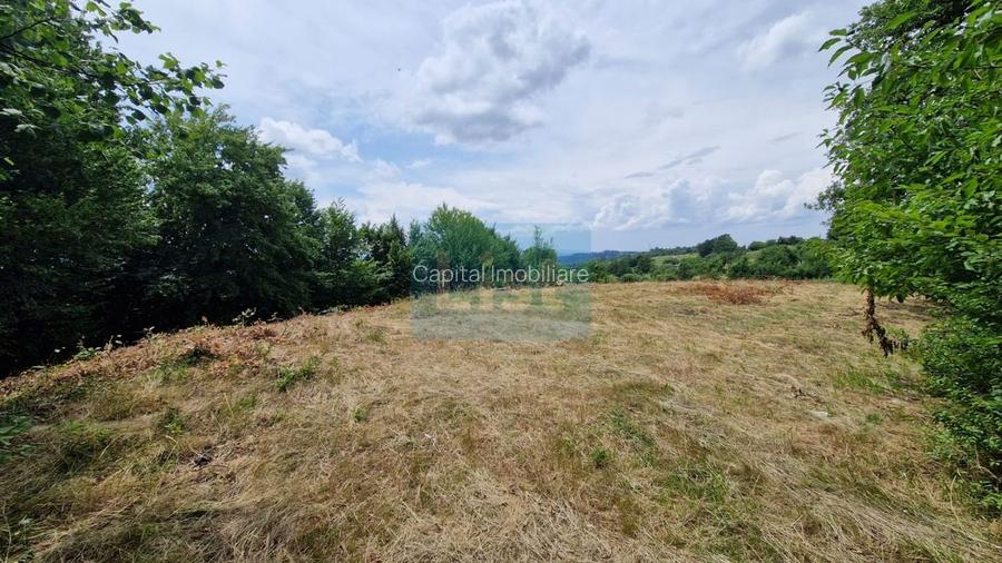 Teren Baia Sprie: 5143 mp, Parcelabil, Comision 0! - 4