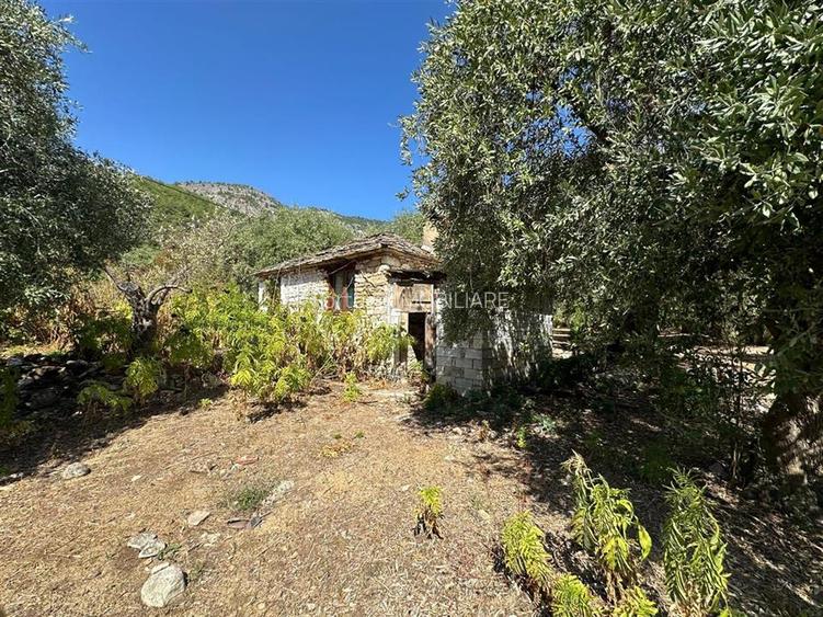 Teren intravilan pe insula Thassos, aproape de plaja salbatica - 8