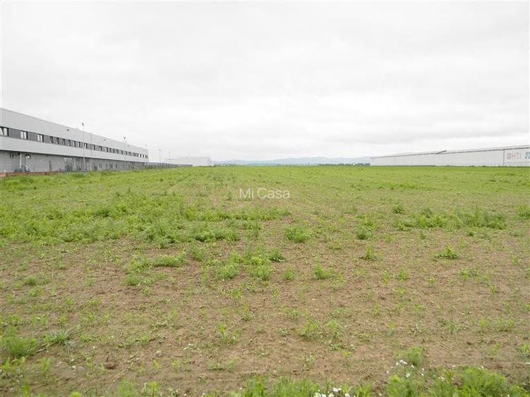 Teren pentru hale-Ghimbav-Joysonquin - 6