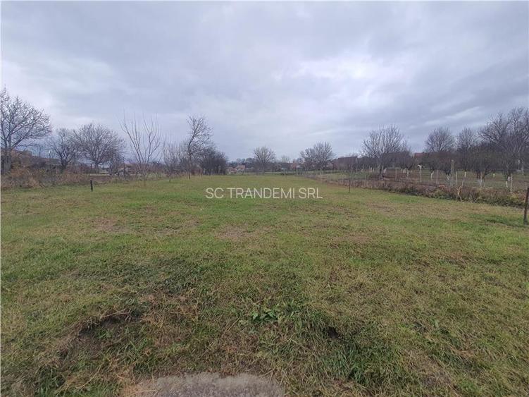 Casa saseasca pe un singur nivel, cu 2.021mp teren in Slimnic - 29