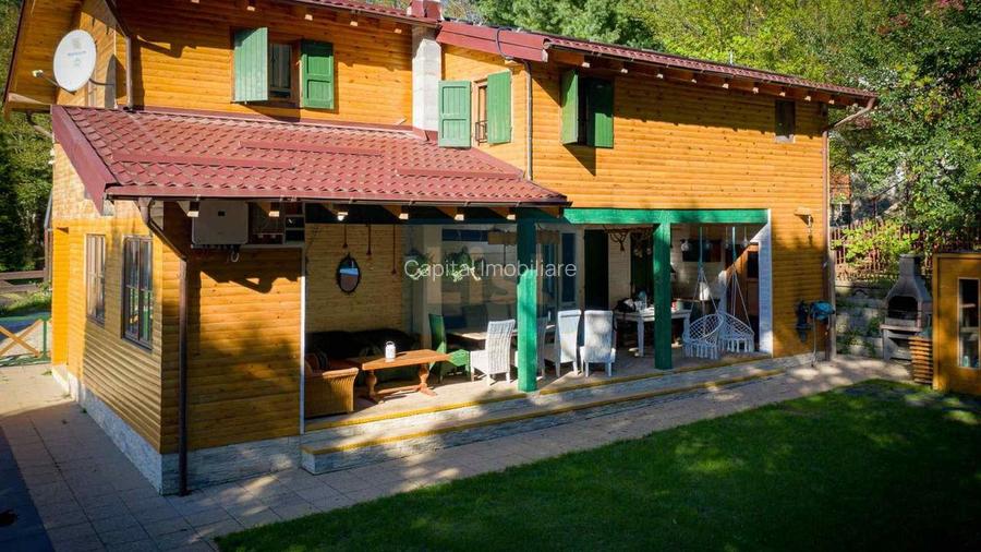 Casa de vacanta superba in Crivaia - 19