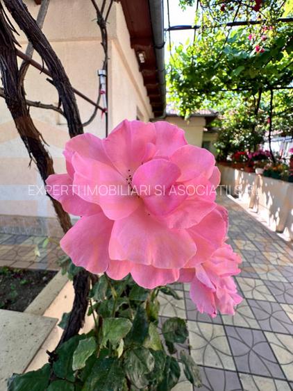 Casa spatioasa in Ovidiu - 17