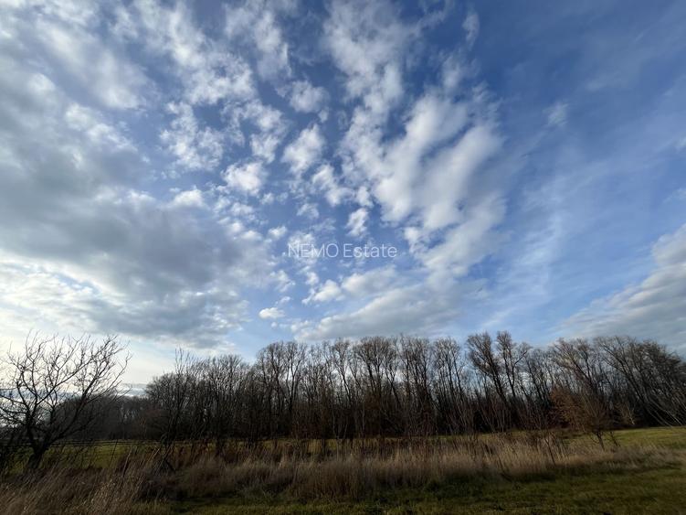 TEREN INTRAVILAN GENEROS | 72 ARI | GALANESTI - 10