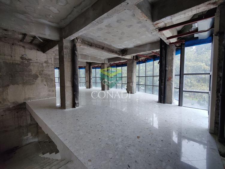 Spatiu de showroom si birouri Bd. Unirii colt Lucian Blaga - 3