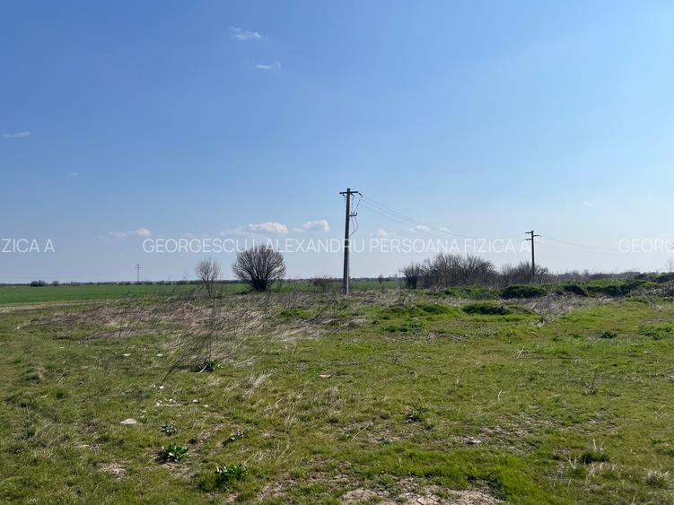 1 Decembrie Strda Pinului 5000m - 5