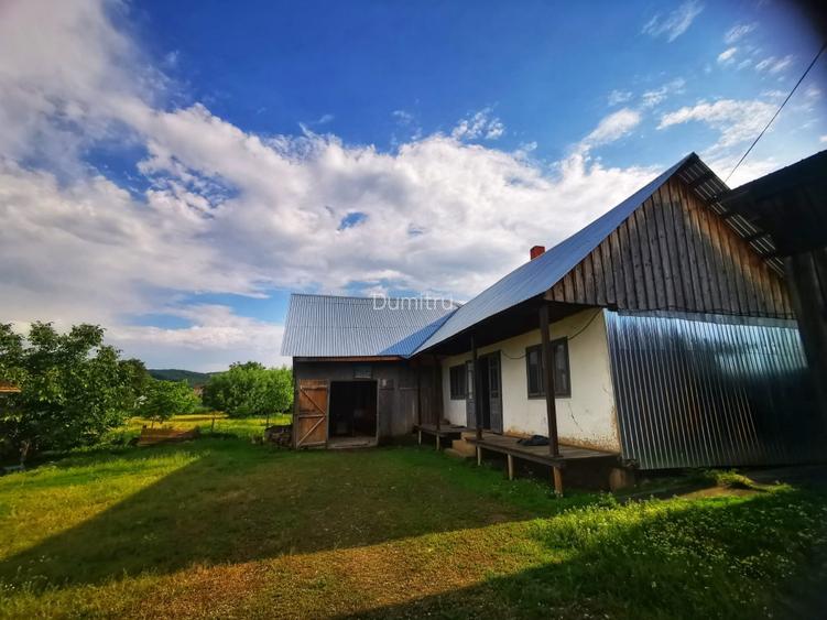 Teren + hală comercială + casa + spațiu logistic - Autostrada A8 - 4