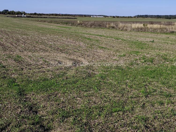 FARA COMISIOANE teren extravilan aproape de padure 5054mp merita vazut - 3