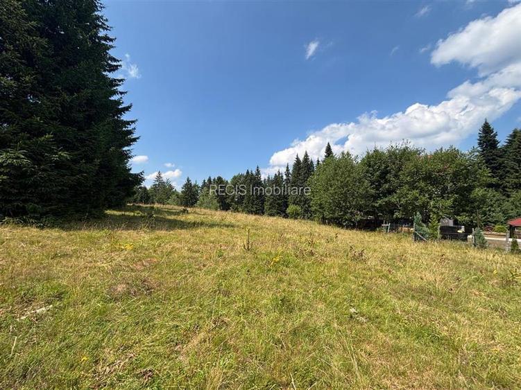 Teren Intravilan 1000MP Utilitati 3 Brazi Predeal - 2