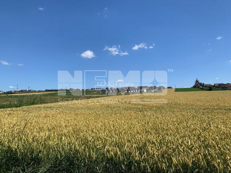 TEREN INTRAVILAN – SF. ILIE| SUCEAVA | 3.500 €/ar - 2