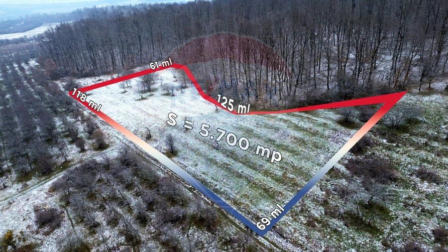 Teren 5,700mp Somcuta Mare / investitie cu potential major - 5