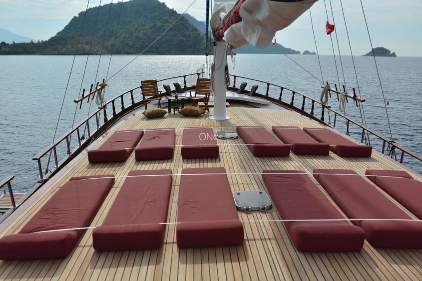 Business pe apa | MS LUXURY CRUISE YACHT - 8