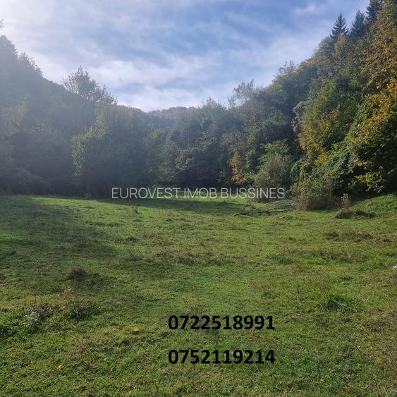 Teren deosebit, la munte, Dragoslavele, Rucar, Arges, doar 6 euro/mp! - 2