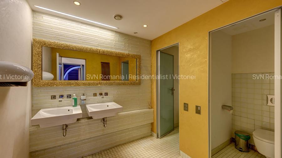 REV2001139 Proprietate deosebita Dorobanti Capitale - 14