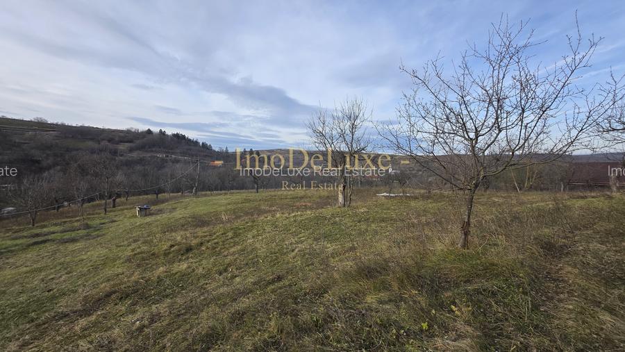 Teren intravilan, 6000mp, priveliste, comuna Baciu, zona Suceagu - 3